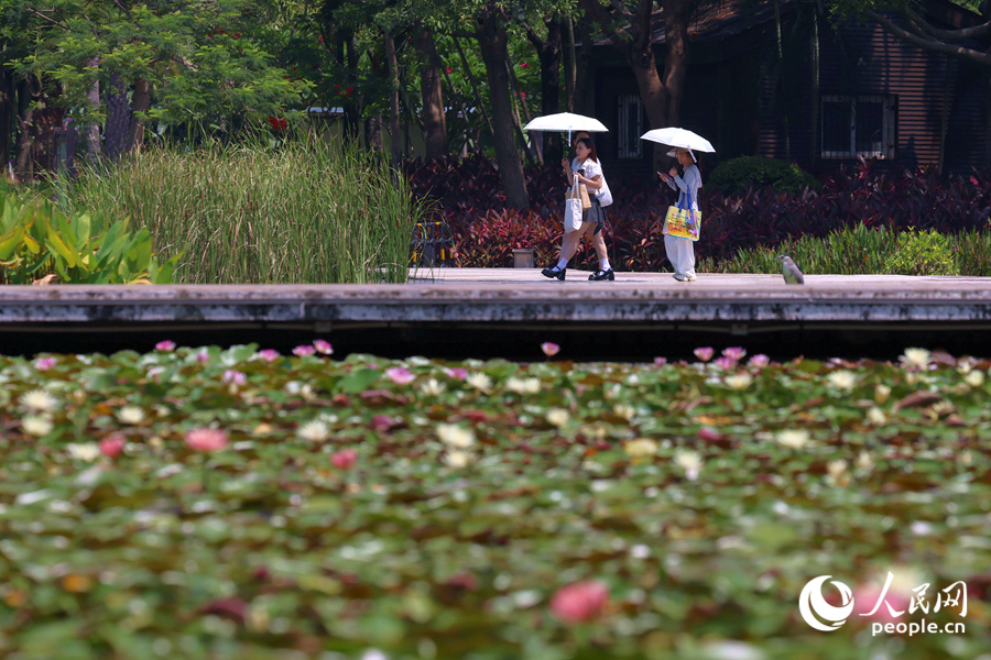 市民游客漫步于蓮池廊道。人民網(wǎng)記者 陳博攝