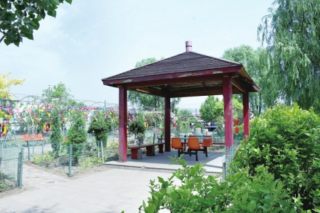 點(diǎn)擊放大