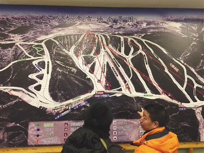 女博士滑雪時撞樹身亡 專家:滑雪達中級屬極限運動 女博士滑雪時撞樹身亡 專家:滑雪達中級屬極限運動
