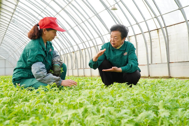 2023年2月20日,在山東省曹縣五里墩村,王銀香(右)在生態(tài)農(nóng)場里與村民交流。新華社記者 徐速繪 攝